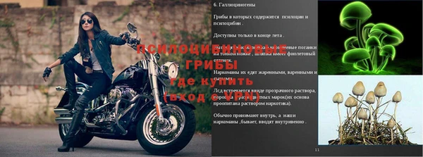 скорость Вязники