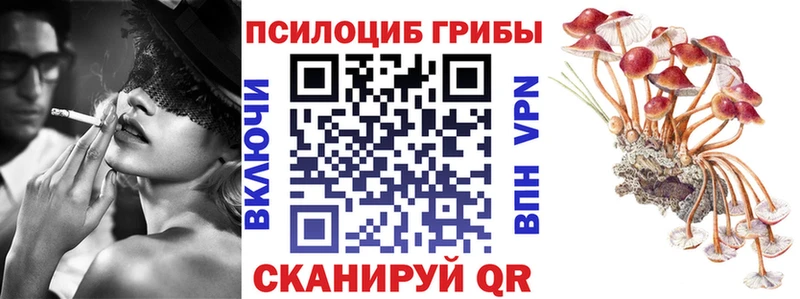 KRAKEN ссылка  Ковров  Галлюциногенные грибы Cubensis 