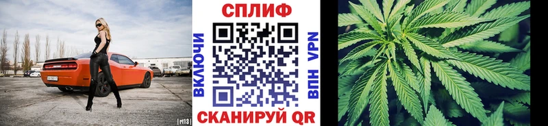 OMG ТОР Ковров Бошки марихуана конопля цены